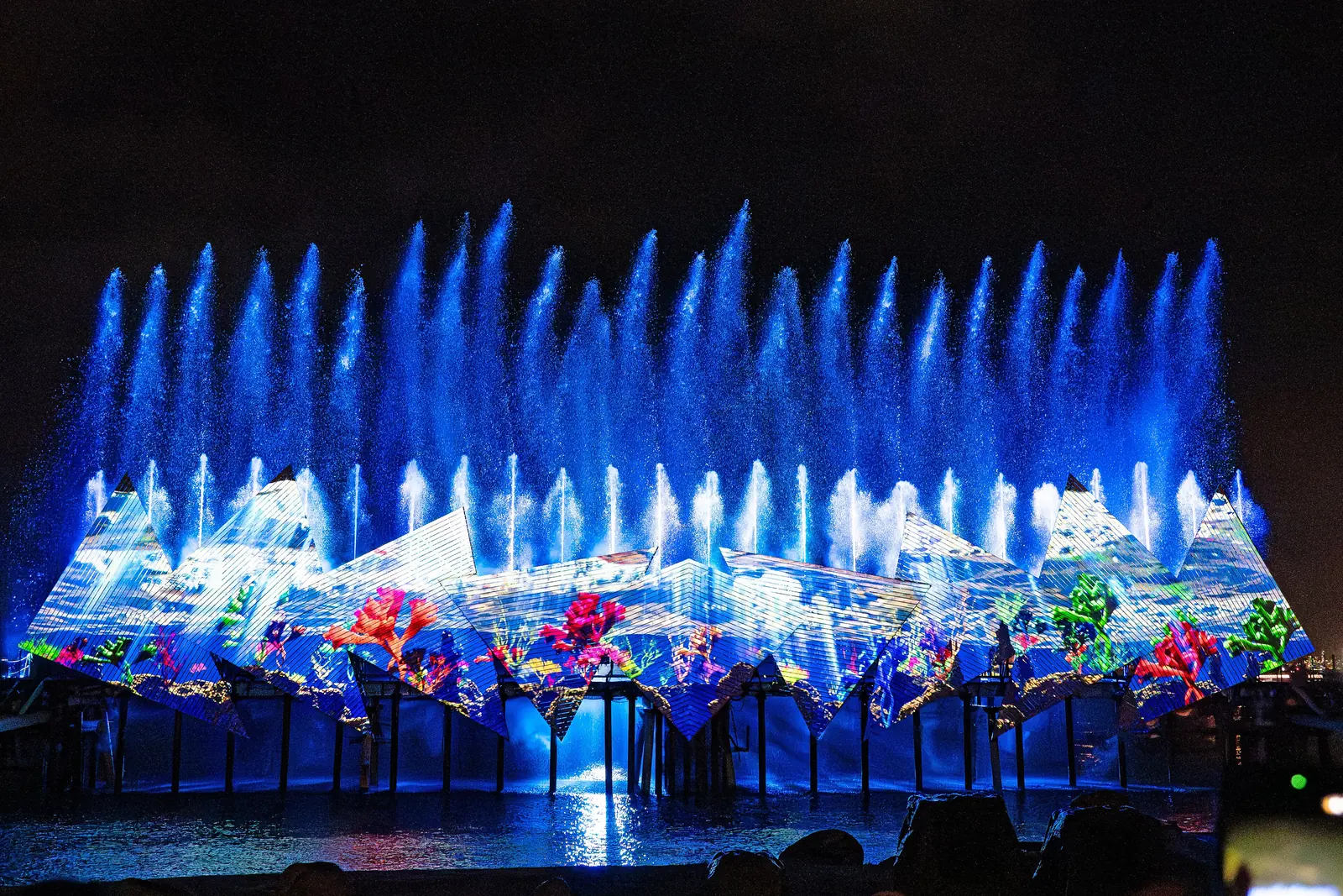 Getti d'acqua si levano davanti a uno schermo di proiezione angolare che mostra una scena di barriera corallina durante Wings of Time di notte, con le silhouette del pubblico sottostante